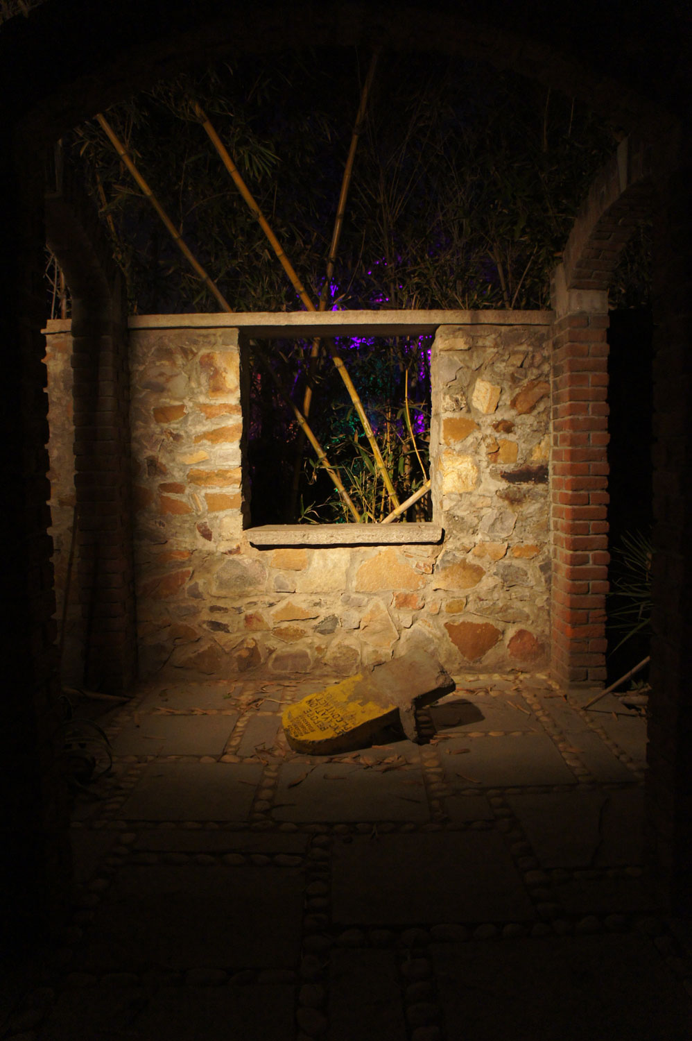 DSC02015.jpg