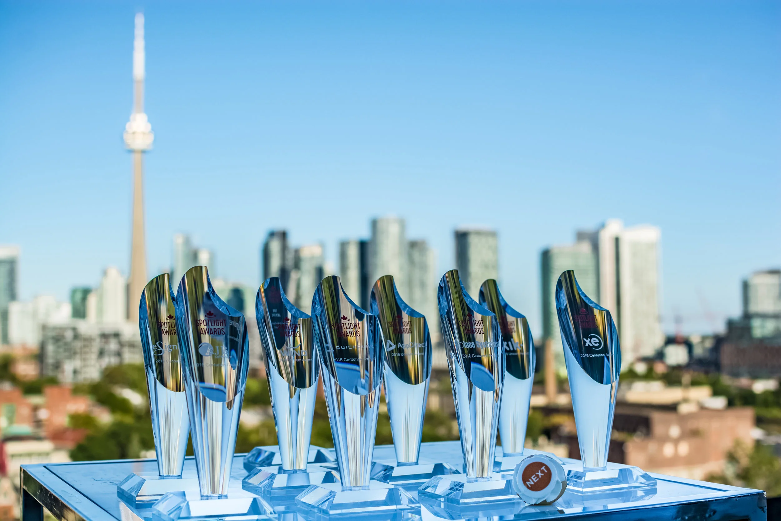 The Awards