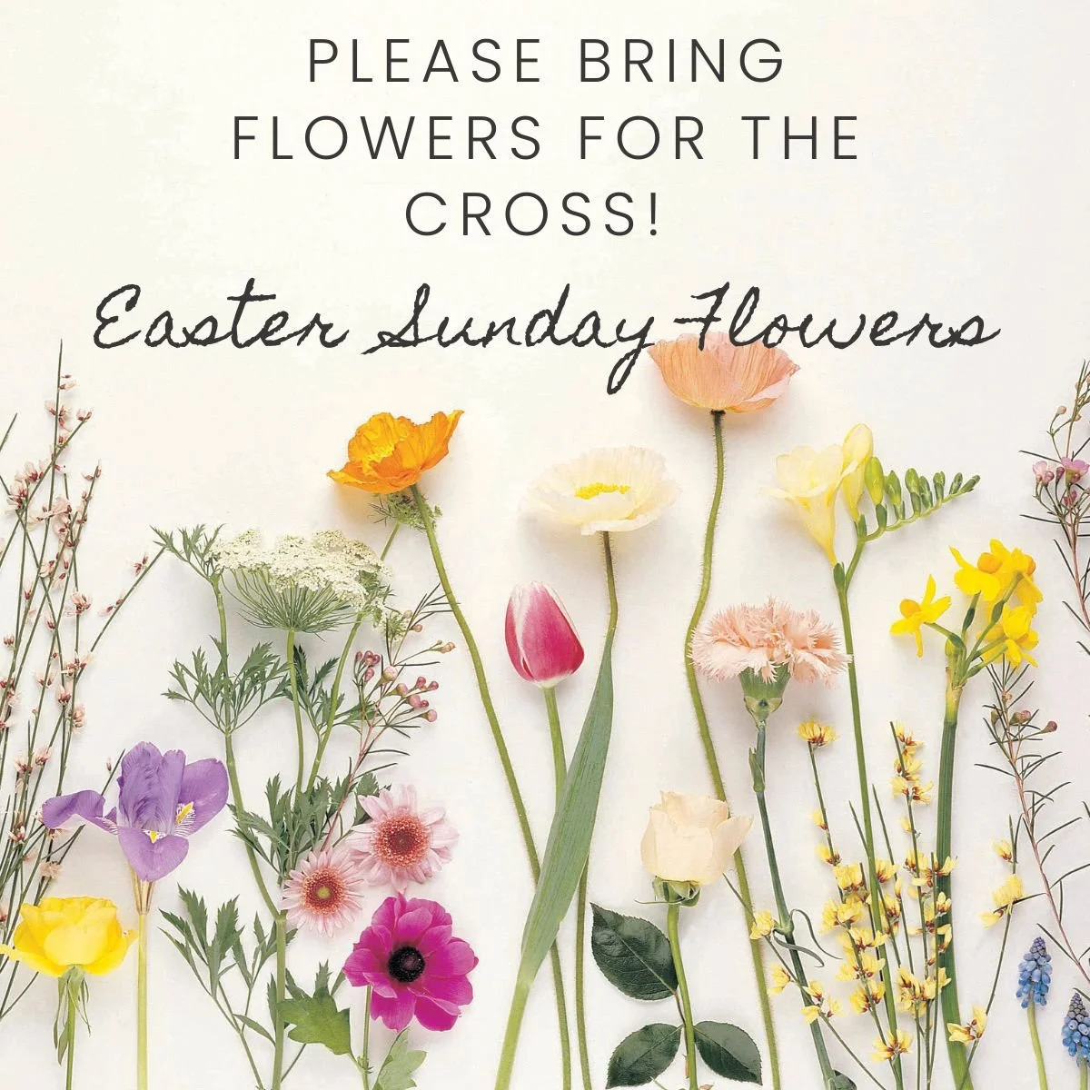 Easter Sunday Flowers.jpg