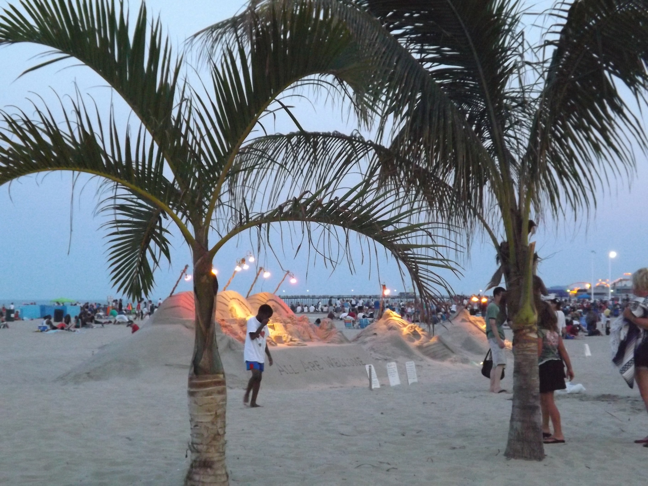 evening with palms