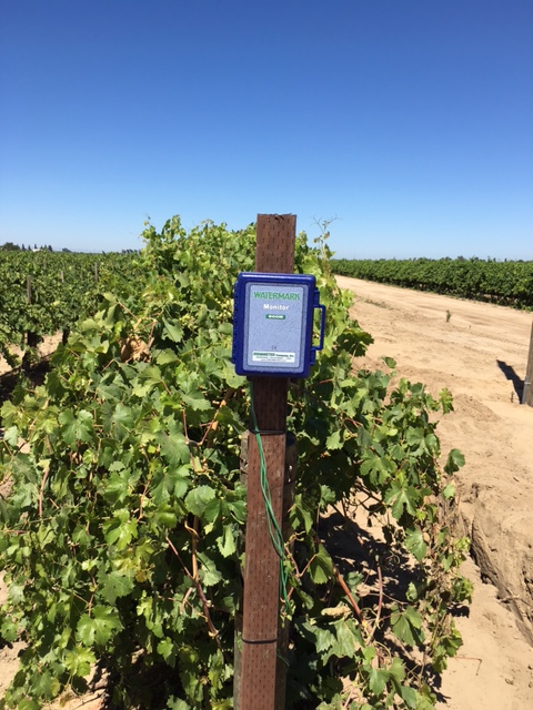 Smart irrigation technology