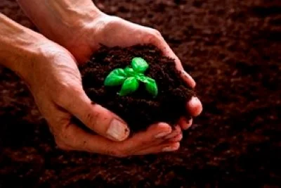 organics grants program, california climate investments. image depicts a person holding a handful of dirt with a green plant on top.