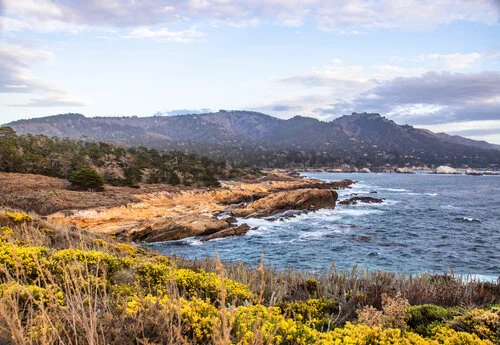 Climate Change Adaptation and Coastal Resilience Planning