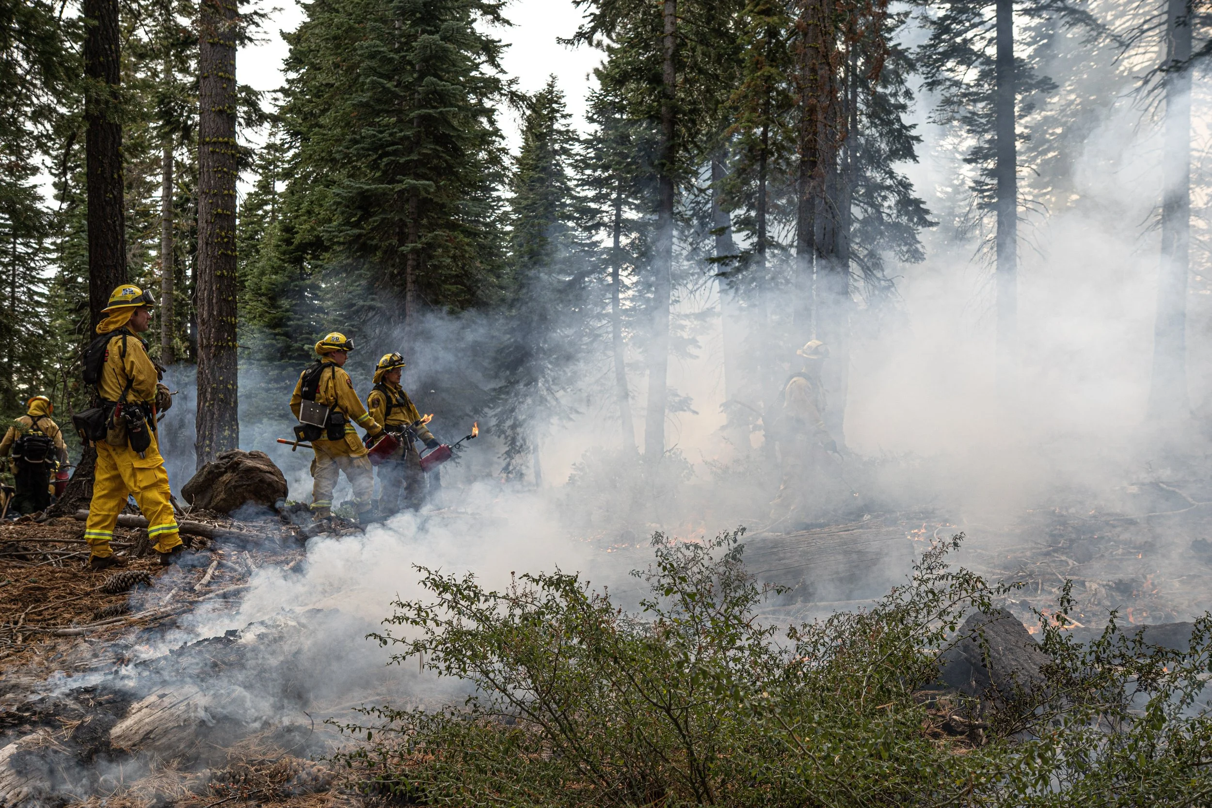 BurtonCreek_RxBurn_Crew_smoke.jpg