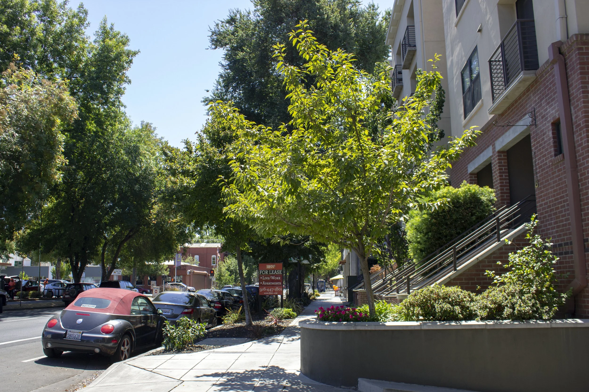 Urban and Community Forestry