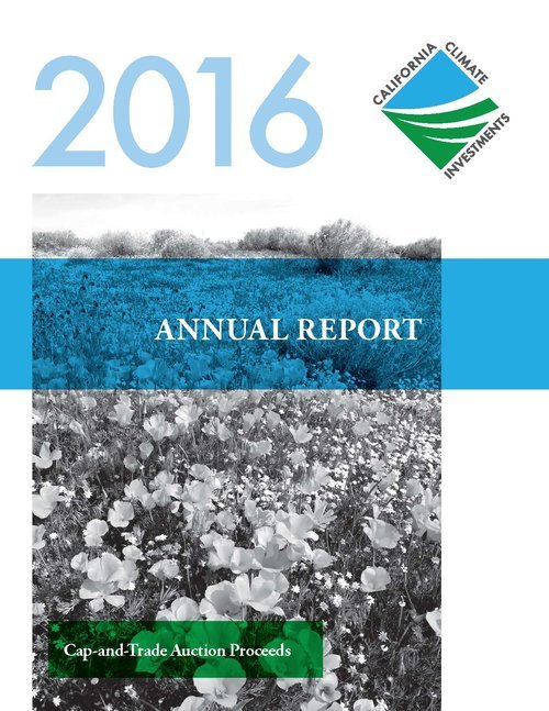 2016 Annual Report