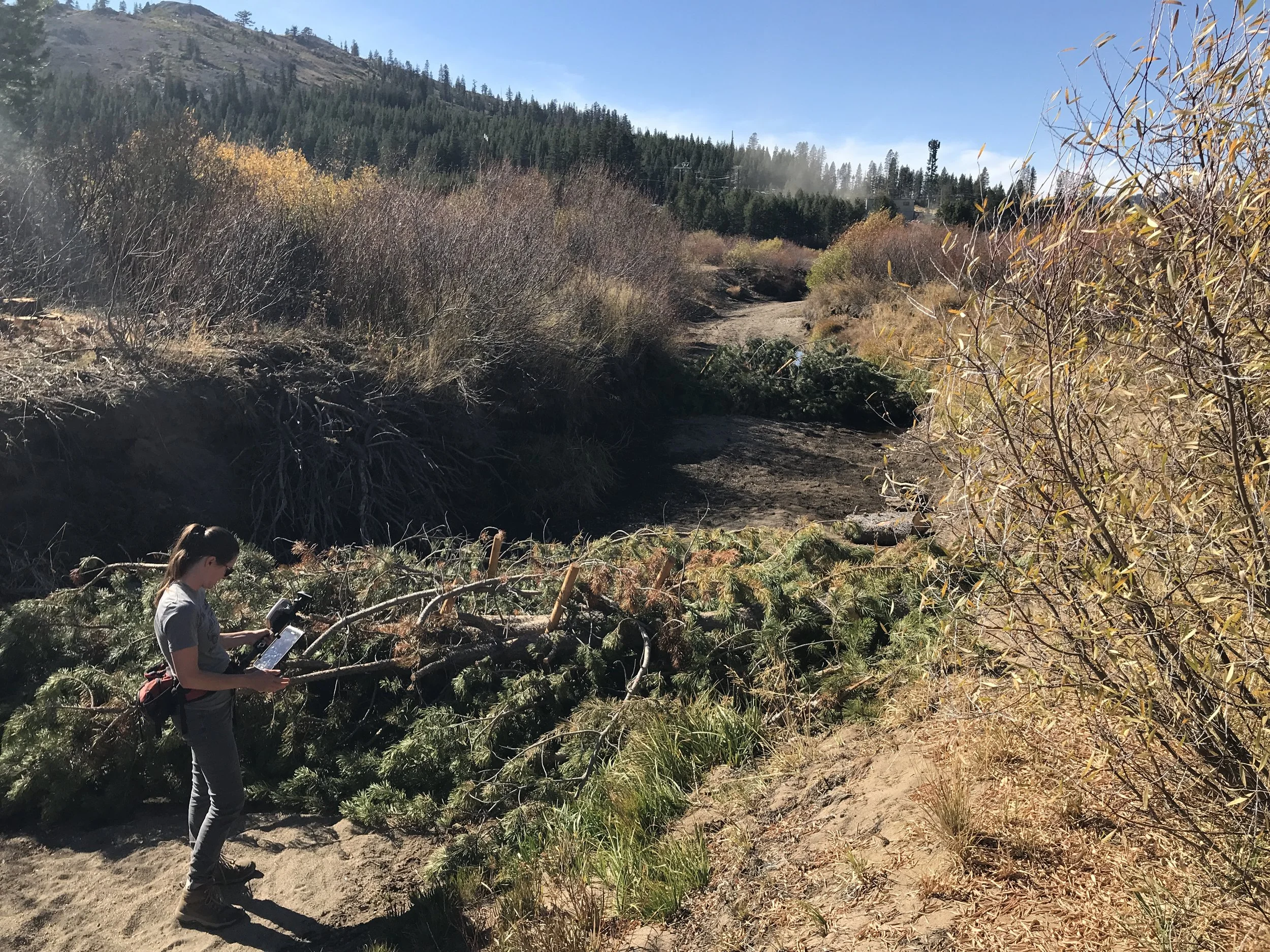 Van Norden Meadow Restoration Project