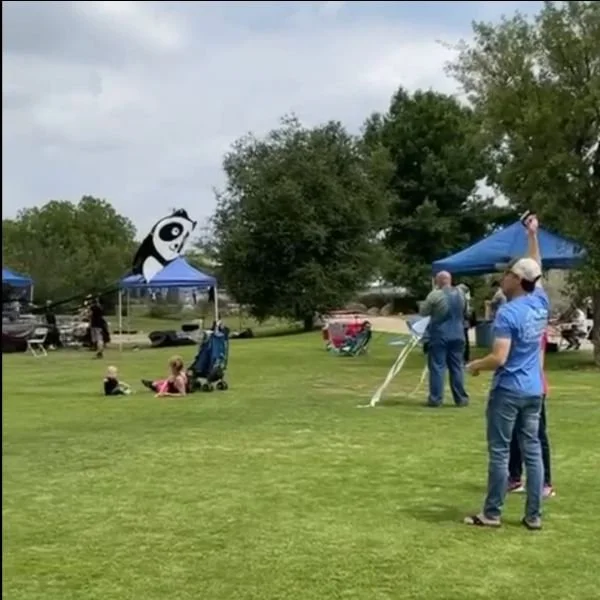 Boletín de Noviembre