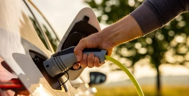 Boletin de Diciembre de 2024