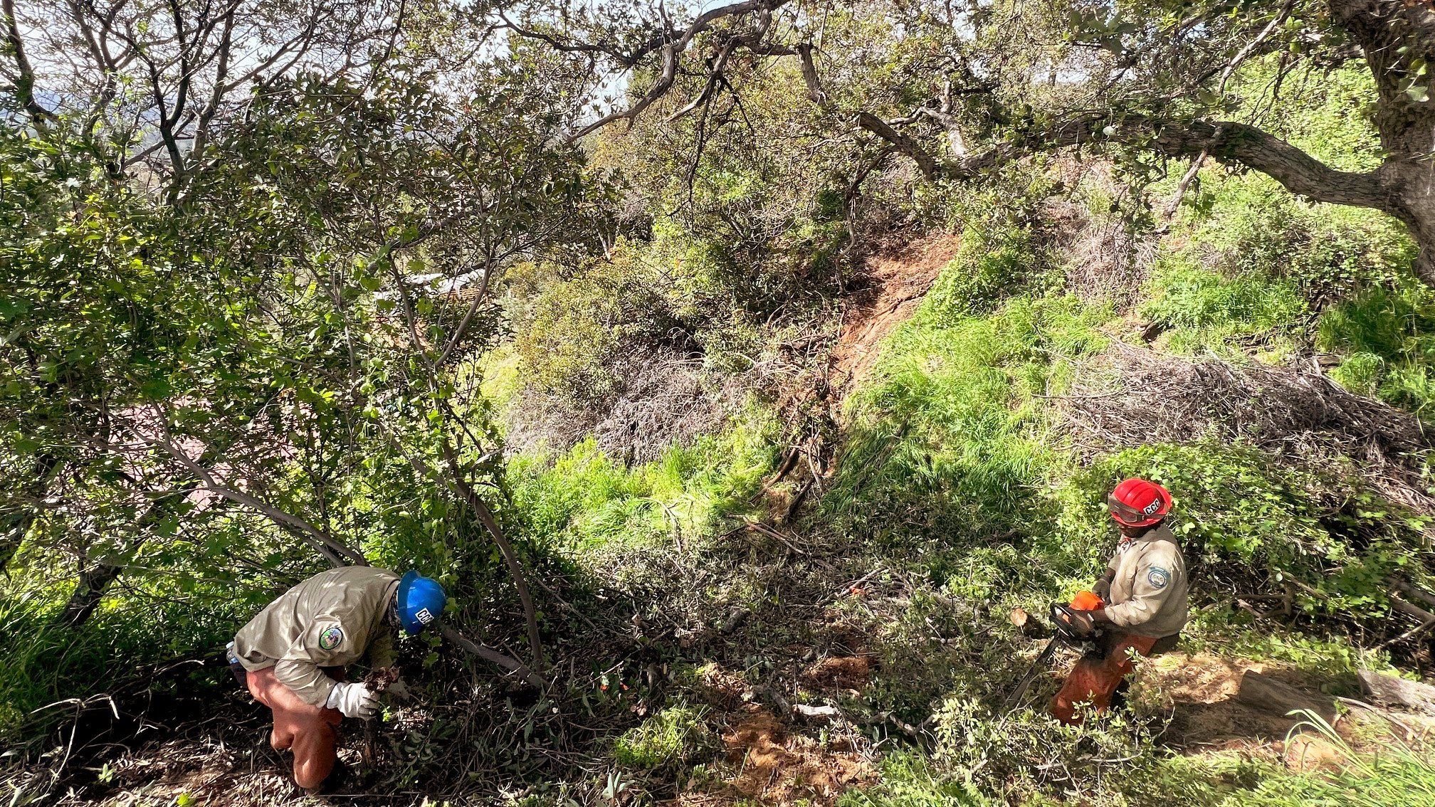 Project Profiles — California Climate Investments