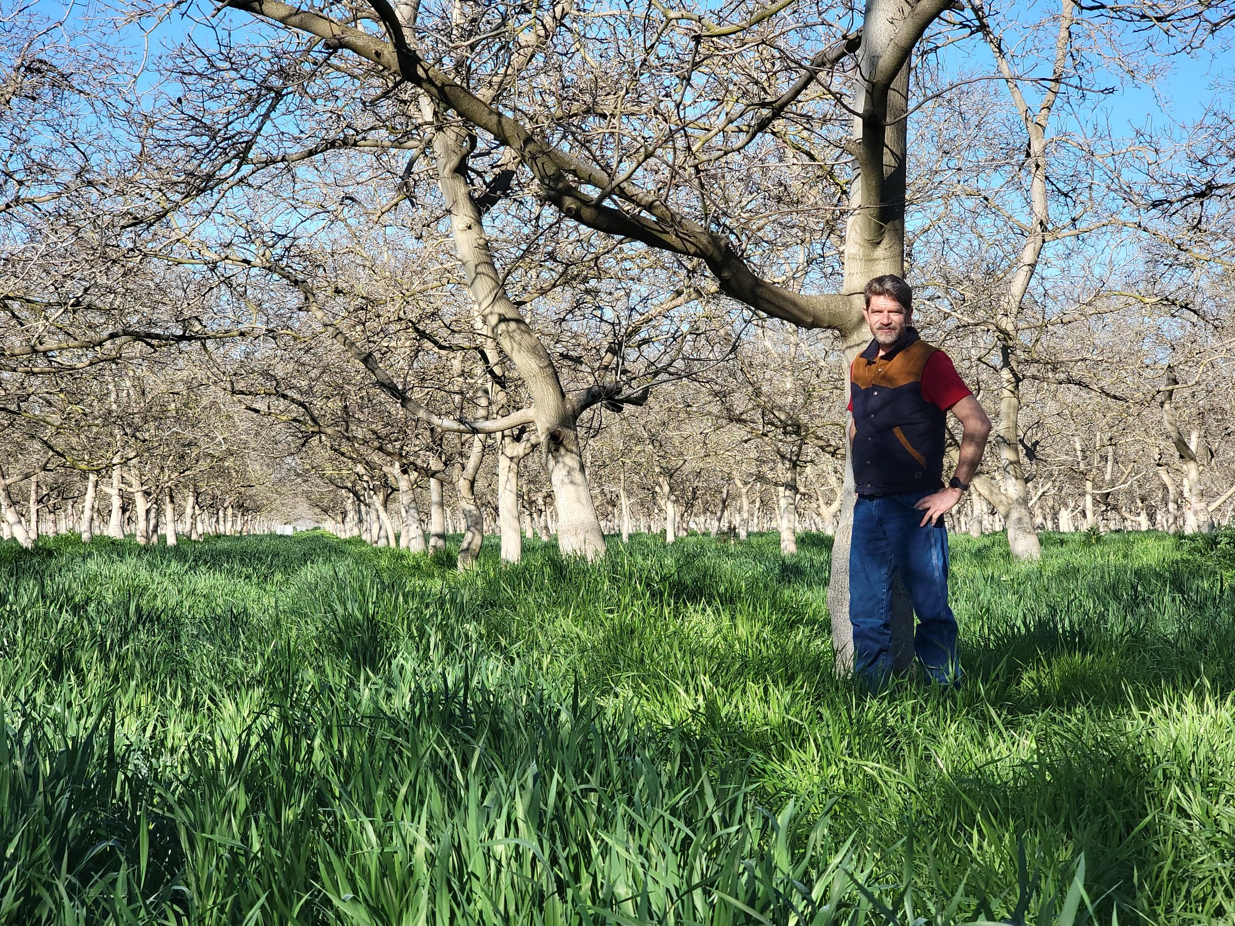Healthy Soils Program Sparks Long-Term Sustainable Change for Glenn County Walnut Farm  