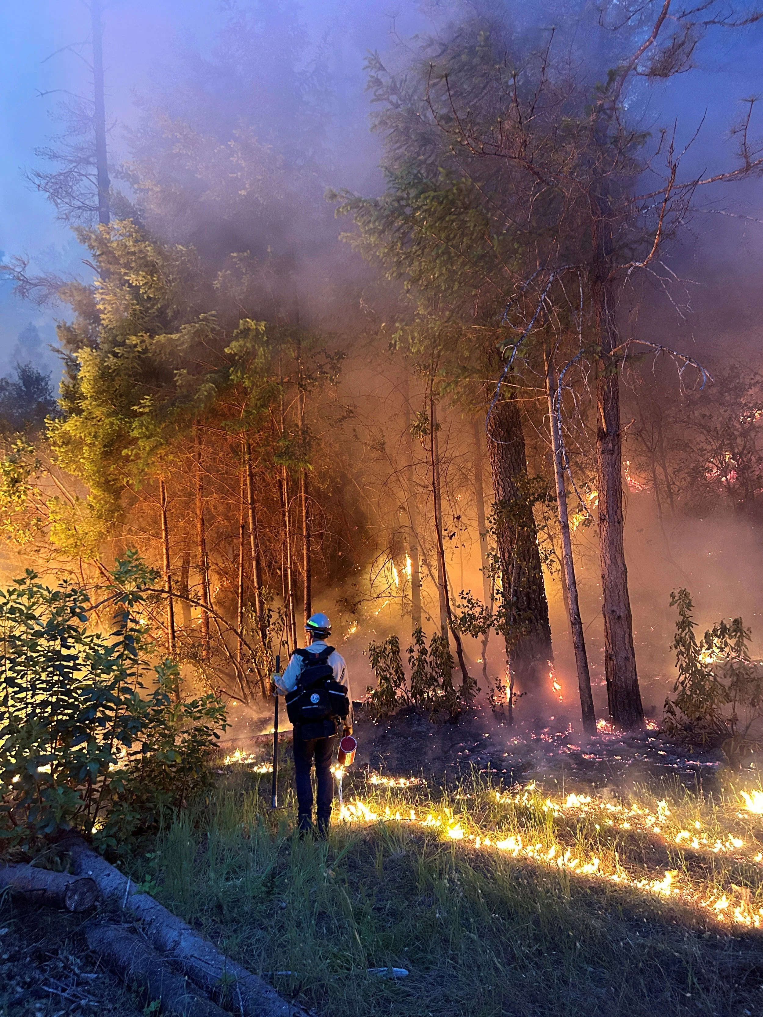 Black- and Indigenous-Led Non-Profit Restores Forest Health and Inspires Connection with the Land in Sonoma County