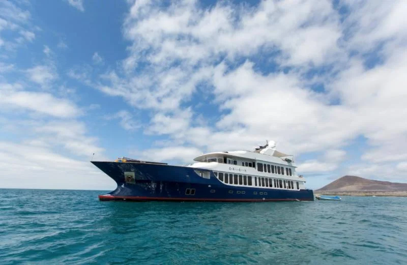 MV Orgin.jpg