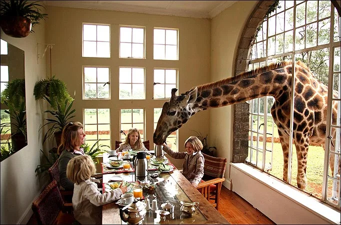 Family Travel Experiences......