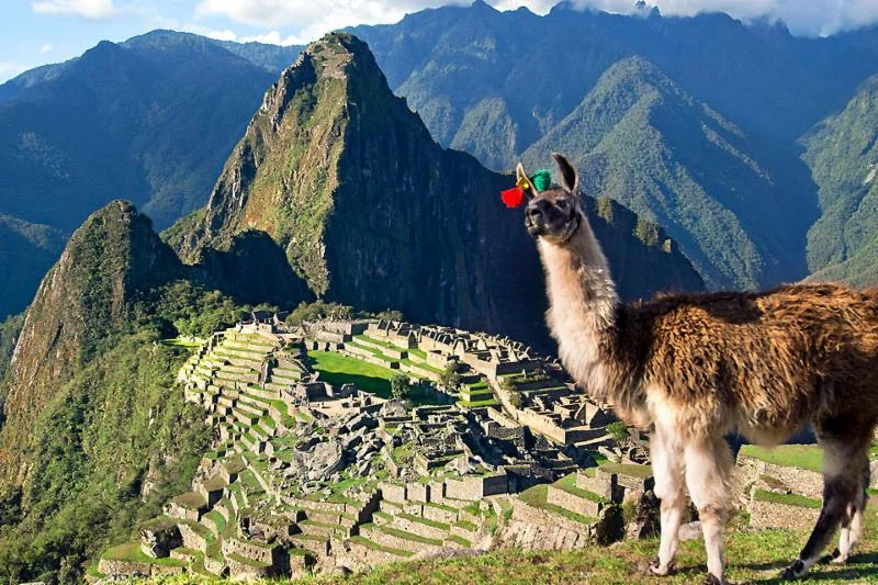 Adventures in South America......