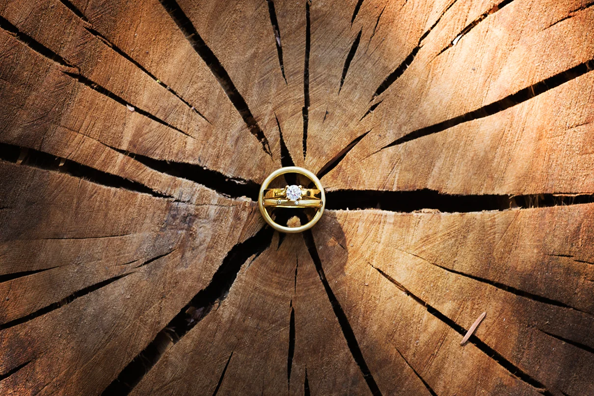 "Tree Rings" for Emi & David :)