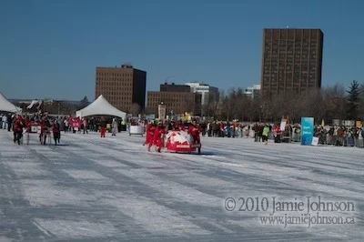 20100206_130313_0333.jpg