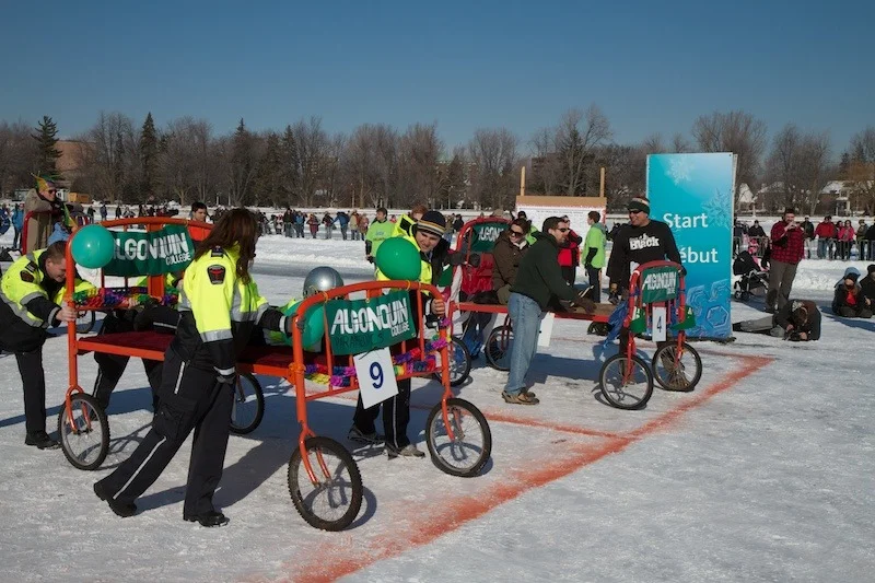 20110205_130623_7669.jpg