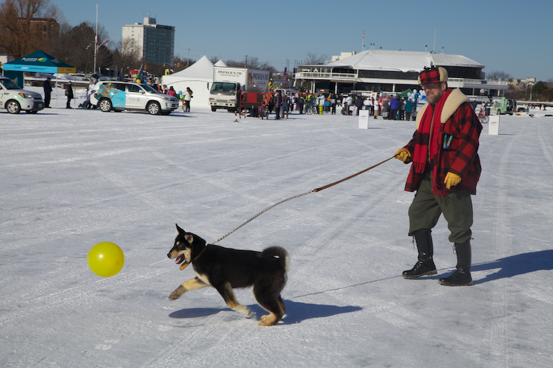 20120204_1106_2393.png