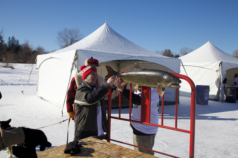 20120204_1112_2404.png