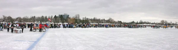 l105.jpg