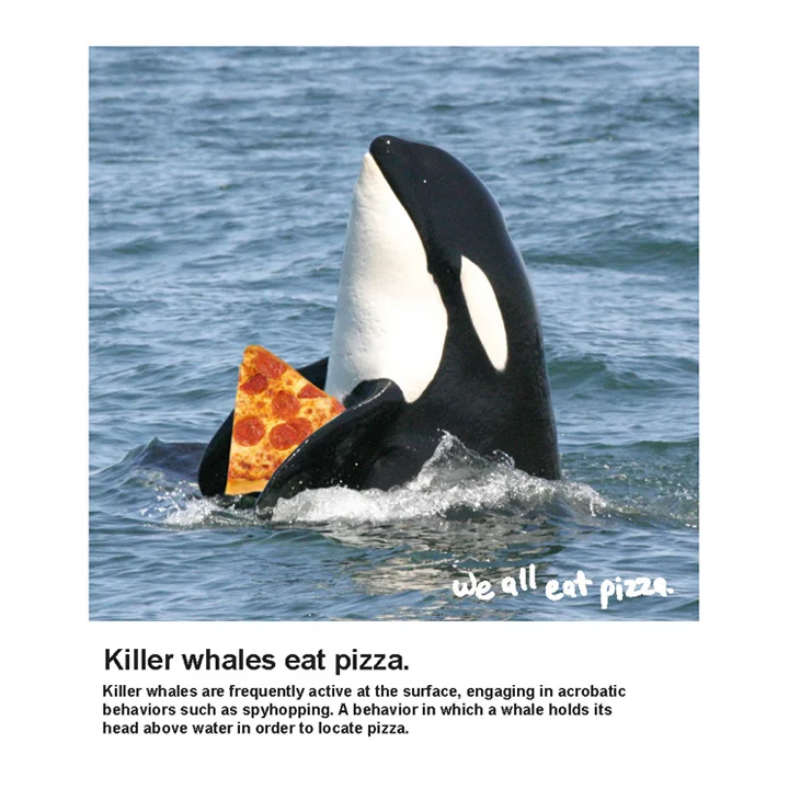 pizza_0009_Layer 14.jpg