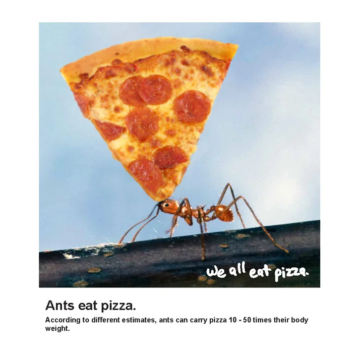 pizza_0002_Layer 21.jpg