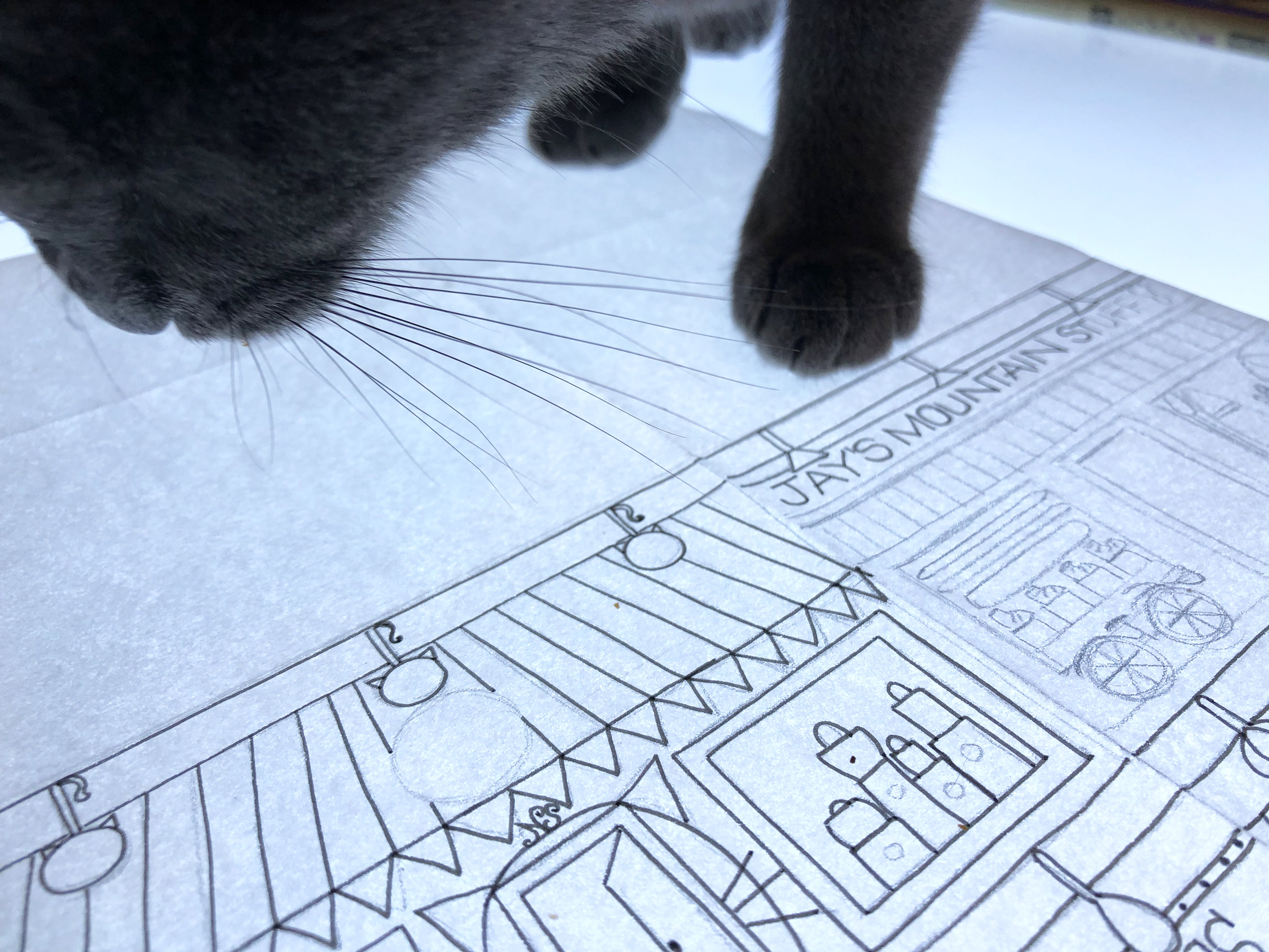 dottie sniffs the art | how to argue with a cat.JPG