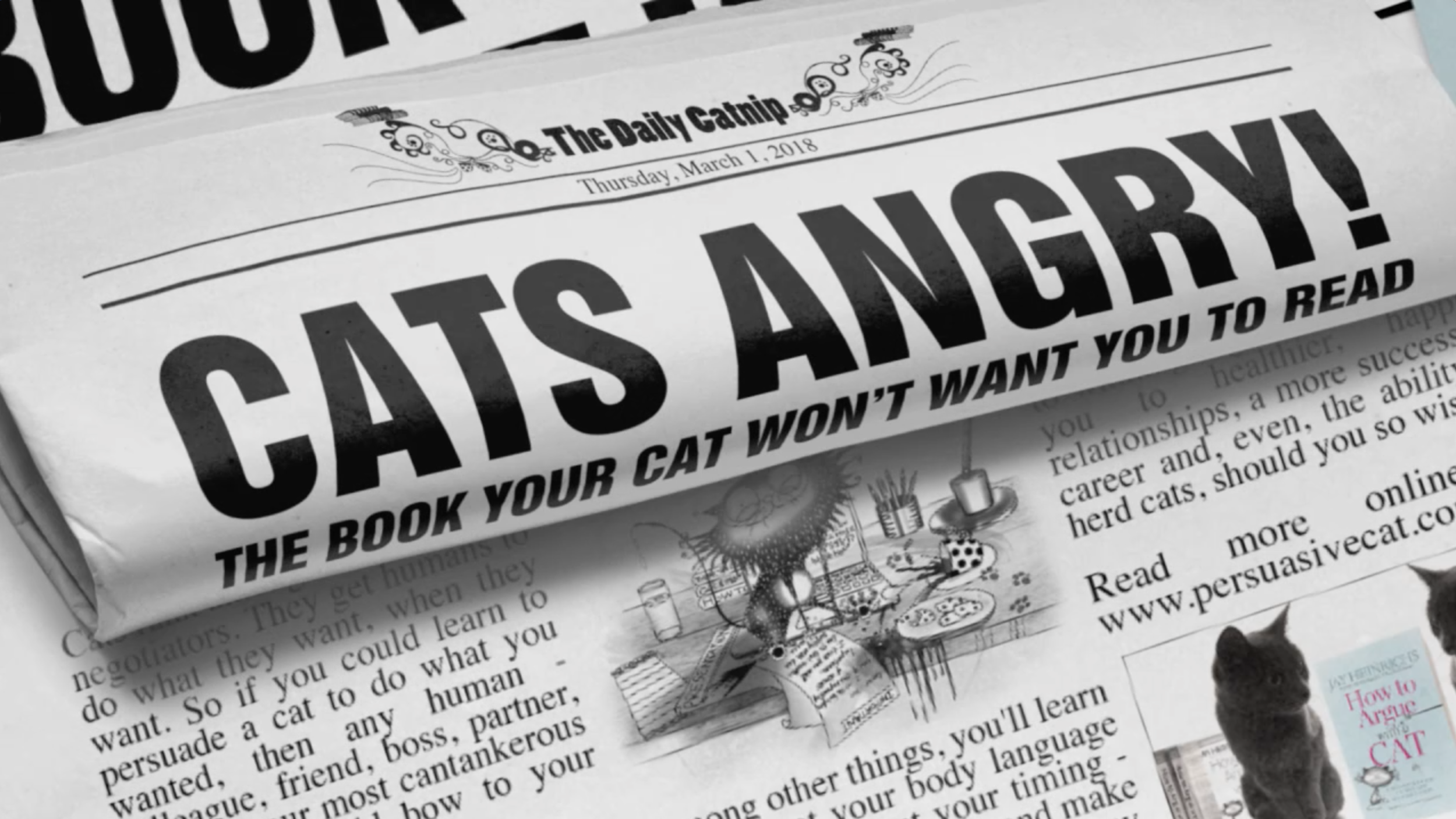 HOW TO ARGUE WITH A CAT | THE BOOK CATS WANT TO BAN | JAY HEINRICHS | NATALIE PALMER-SUTTON ANIMATION 12.png