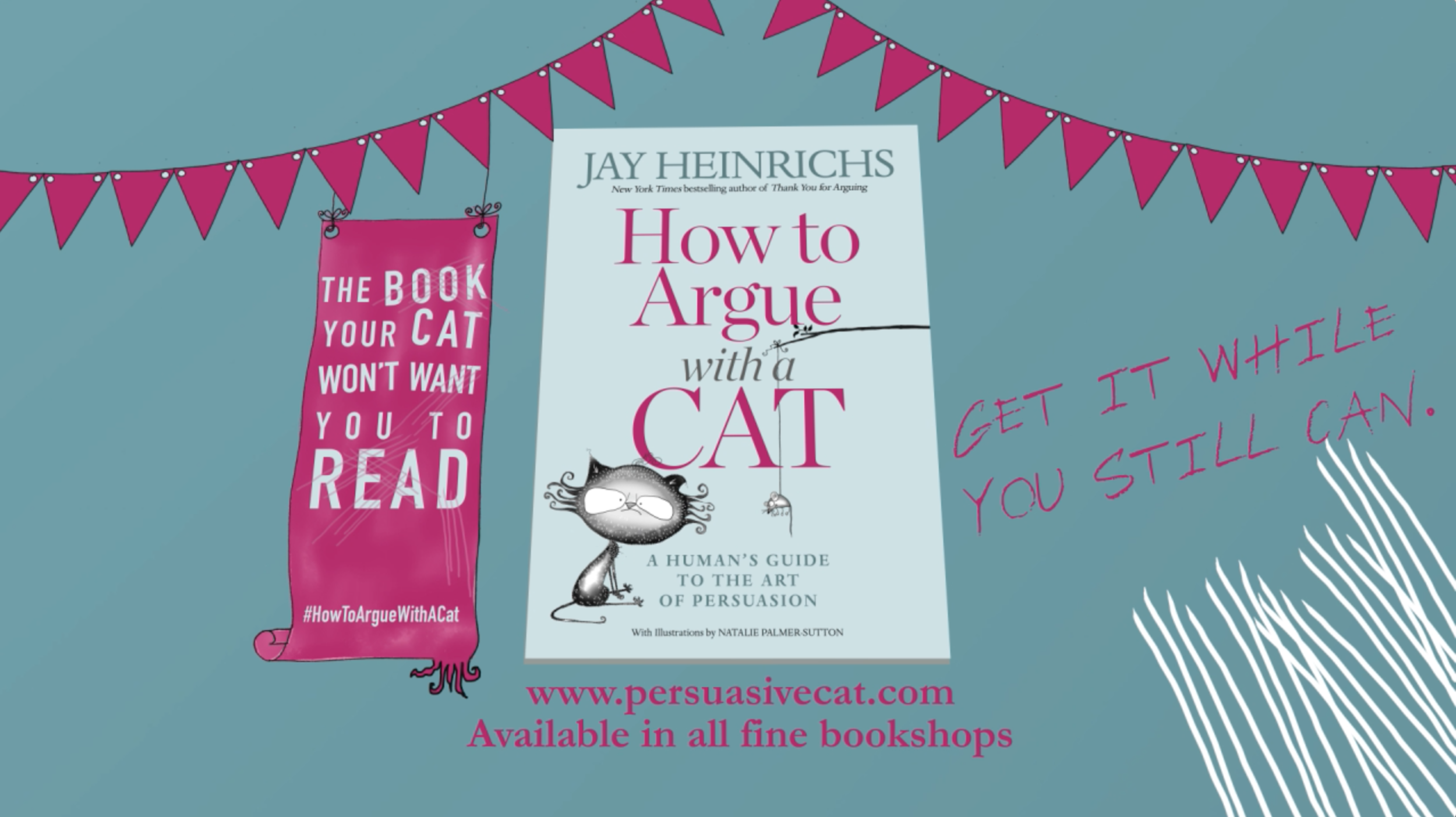 HOW TO ARGUE WITH A CAT | THE BOOK CATS WANT TO BAN | JAY HEINRICHS | NATALIE PALMER-SUTTON ANIMATION 47.png