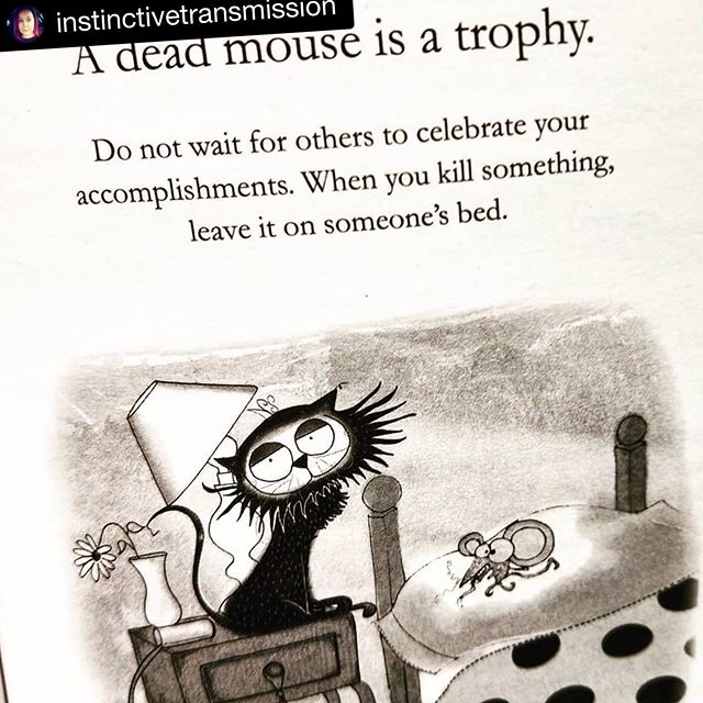 #Repost @instinctivetransmission ・・・
Cat wisdom. 
Don't wait for others to celebrate your accomplishments. When you kill something leave it on someone's bed.
😂
#howtoarguewithacat #artofpersuasion #cat #catsandbooks #catsofinstagram #booksandcats #b