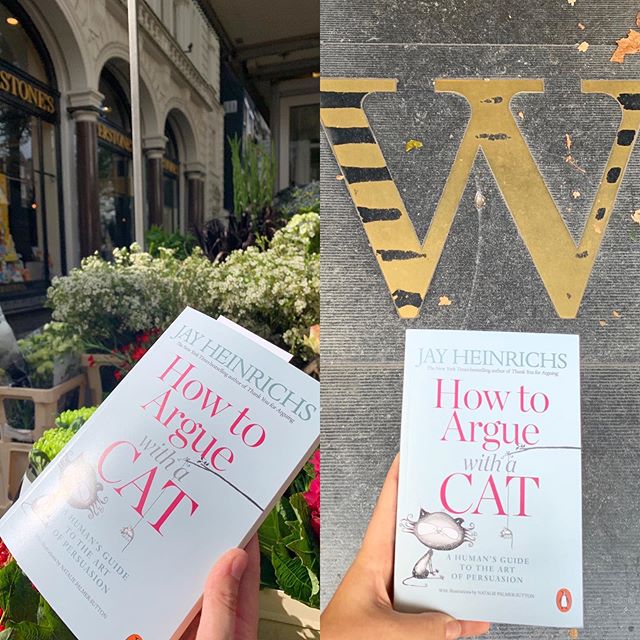 Amsterdam Waterstones is ROCKING IT!! BESTSELLER! How To a Argue With A Cat 😃 👍🐱🐱🐱🐱
Thank you @waterstonesamsterdam 
#amsterdam #waterstonesamsterdam #catcafeamsterdam #howtoarguewithacat #cat #catboat #cats #kittens #rhetoric #persuasion #naug