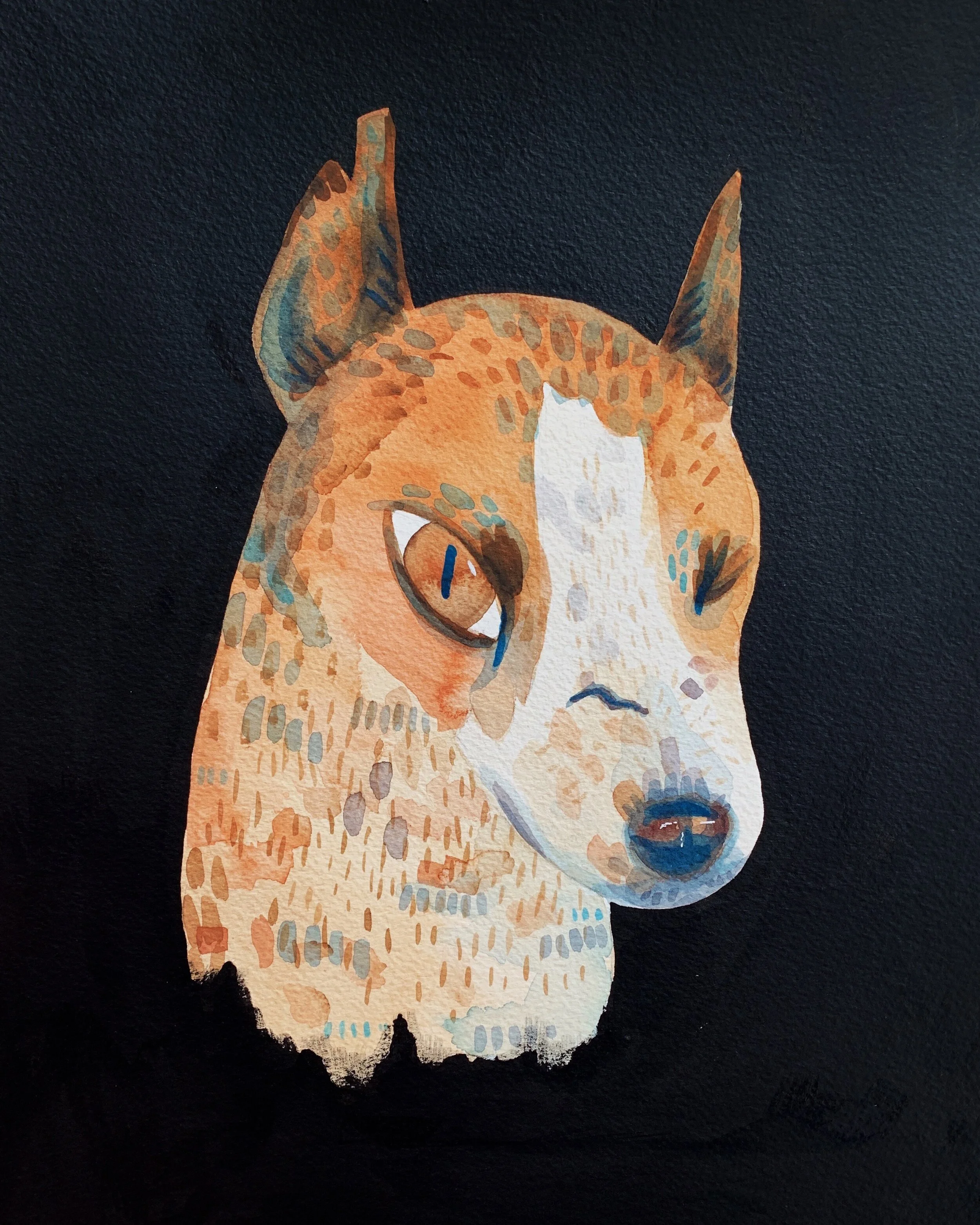 6D07C4D5-0F9B-43D1-A076-4DB436EC8D33 2.JPG