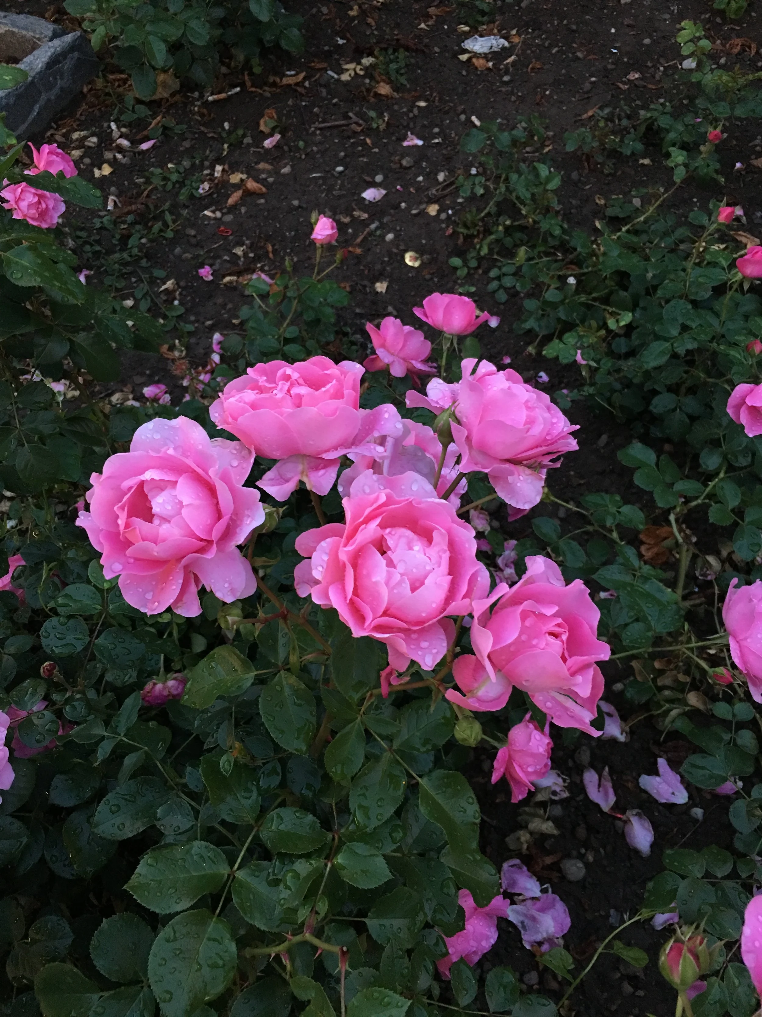 Guaranteed Interactions