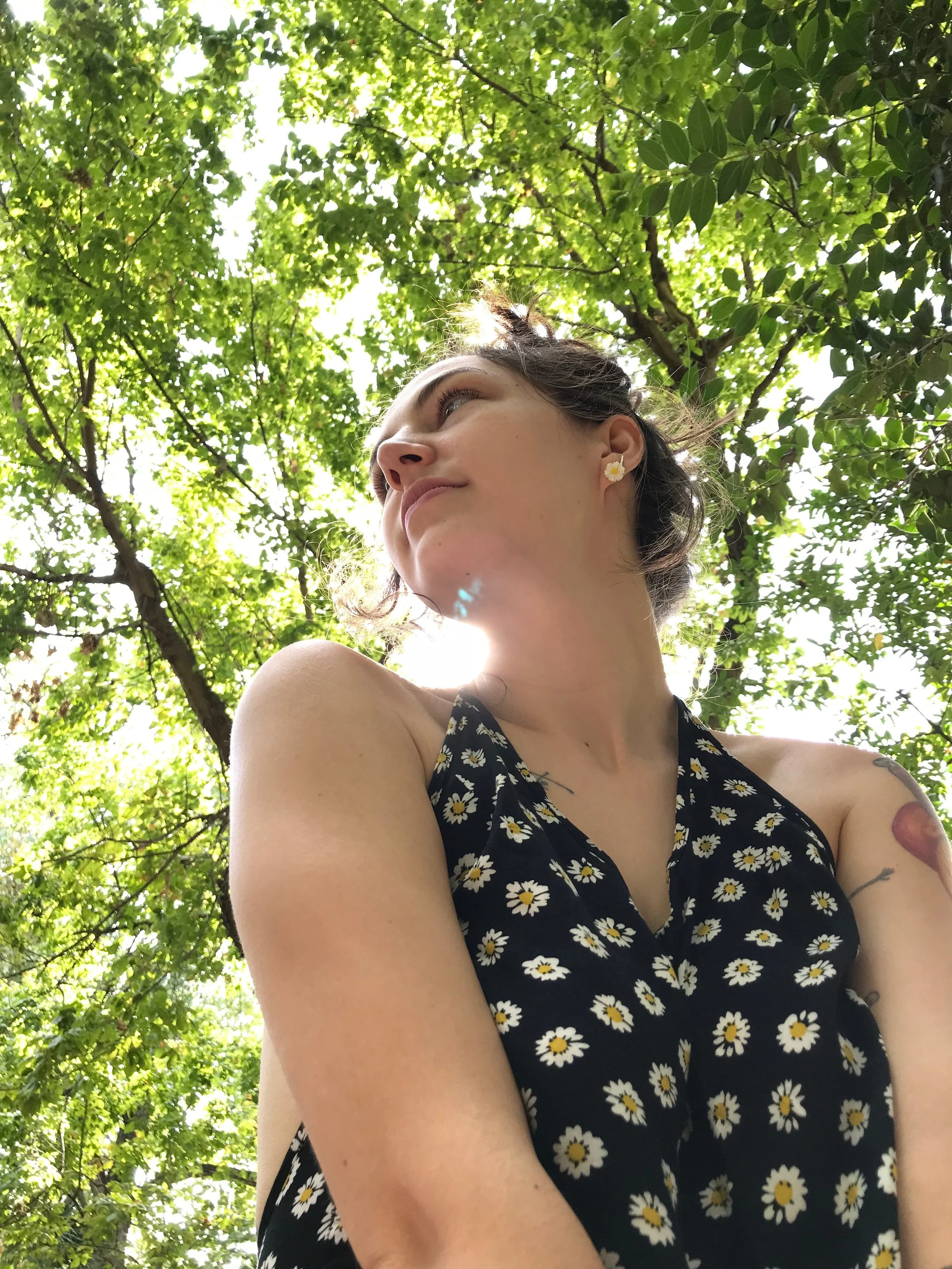 first page of Daisies