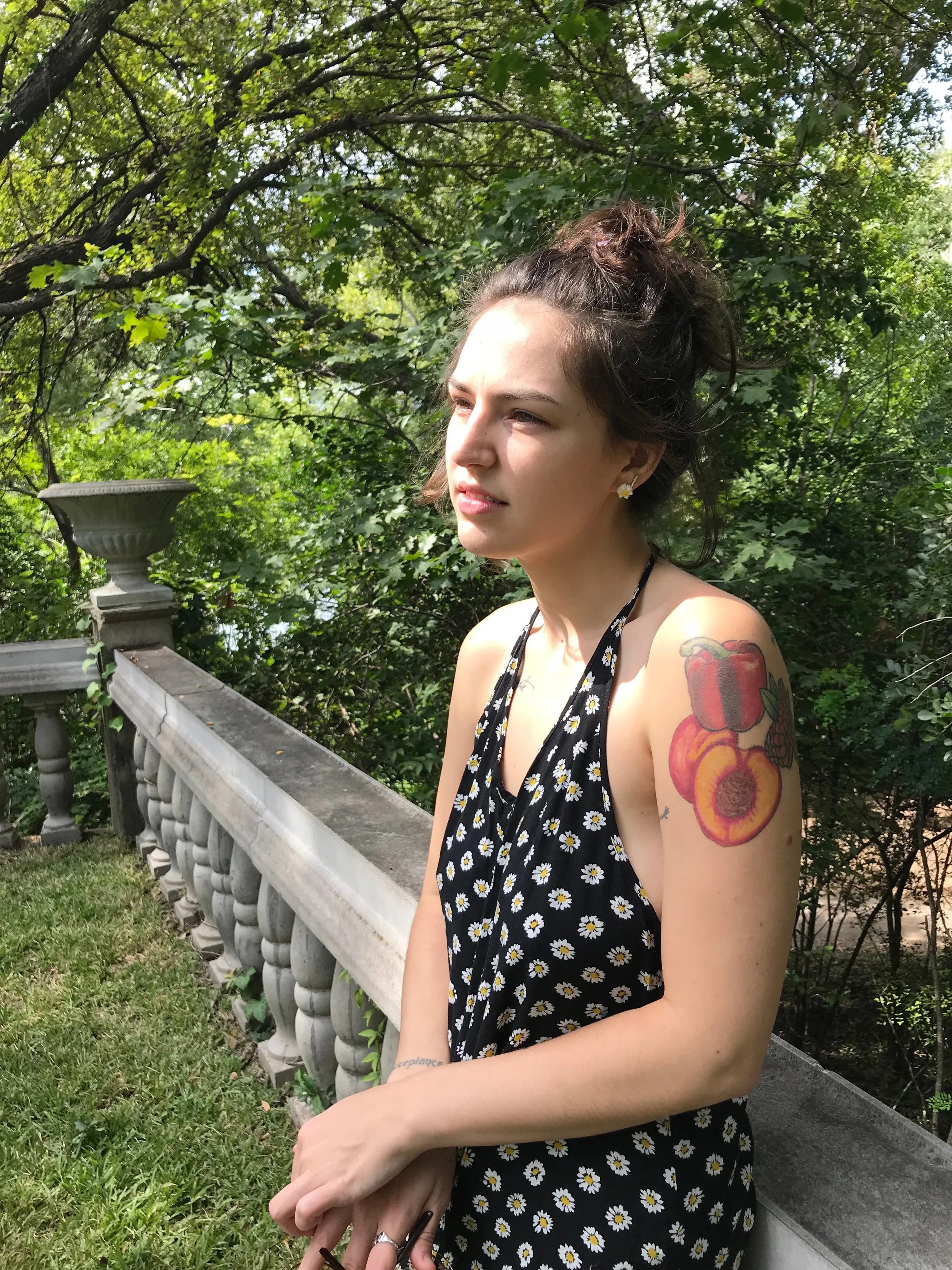 excerpt from Daisies