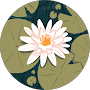 jasmine.png