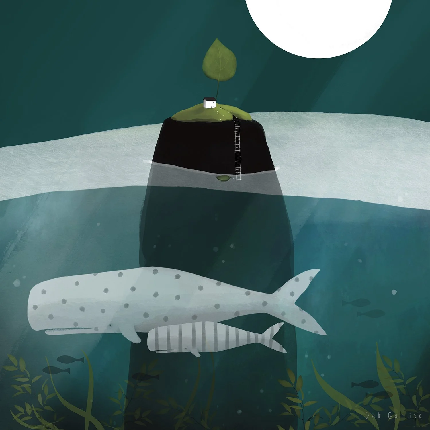 There and Back Again