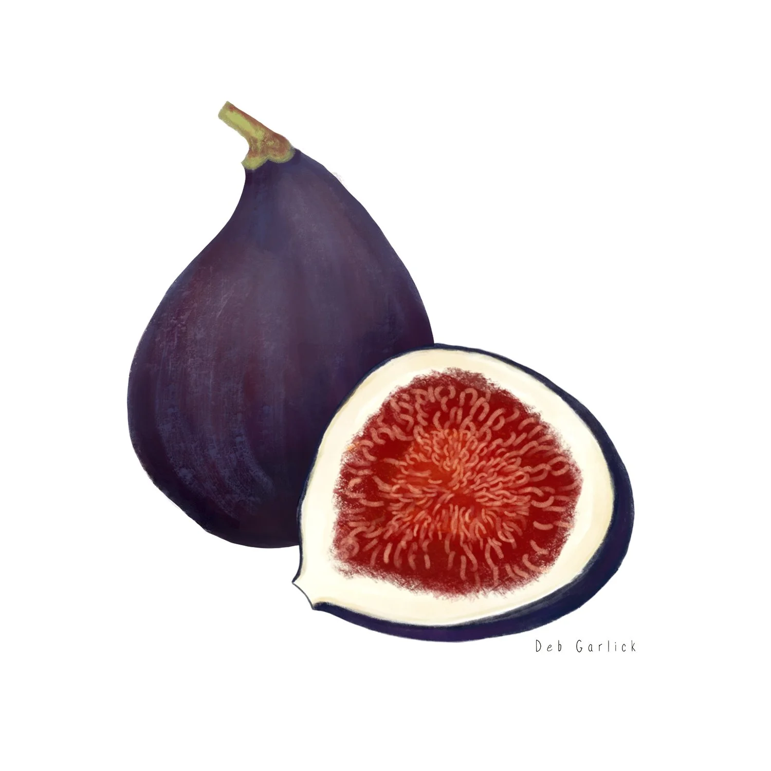 Fig