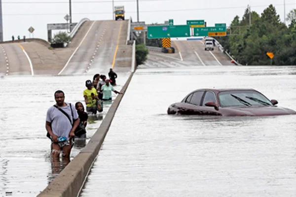 harvey28-AP-x600px.jpg
