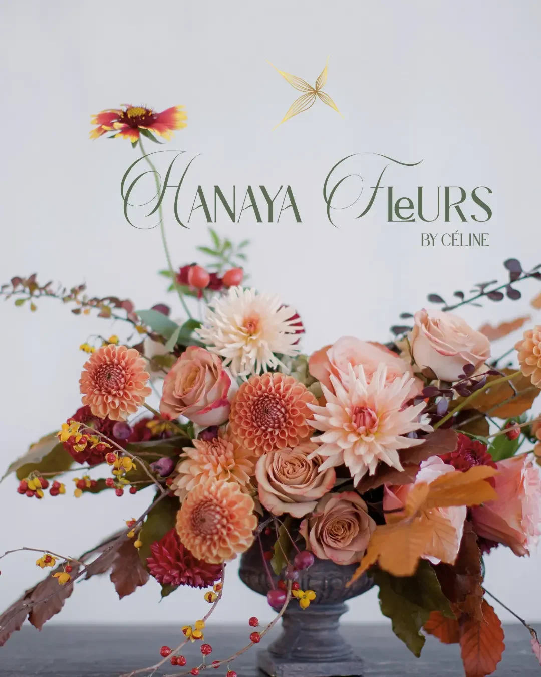 Logo Creation/Brand Audit/Brand Assets/Marketing Collaterals