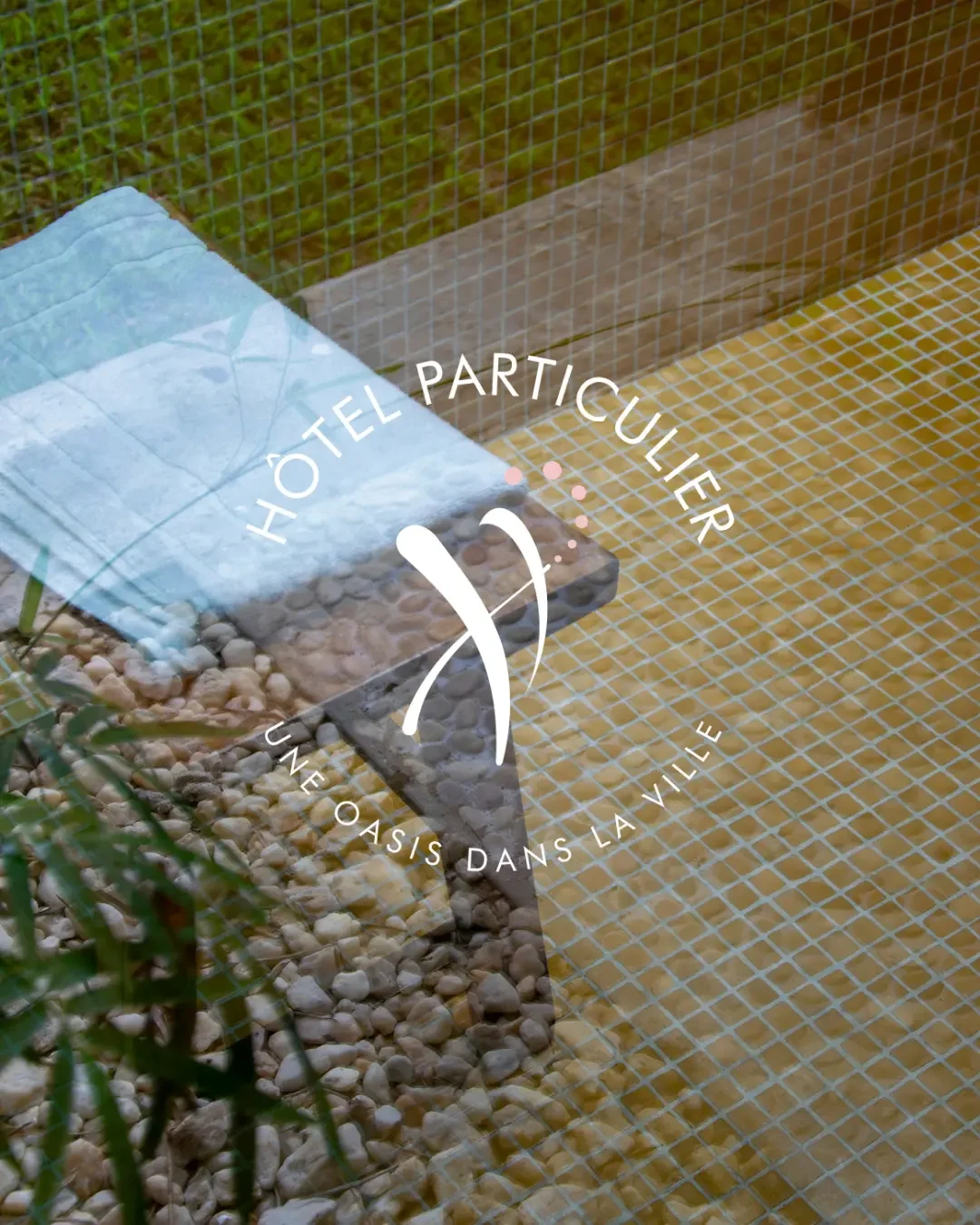 Logo Creation/Brand Audit/Strategy/Marketing Collaterals