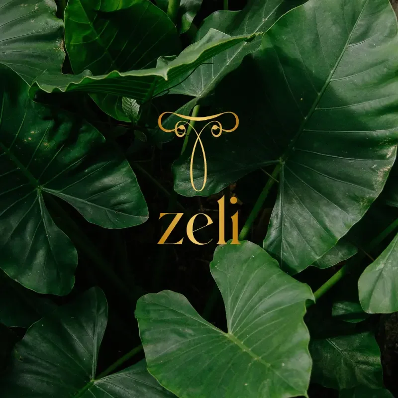 ZELI WELLNESS | Brand Consulting ● Logo Design ● Brand Identity Creation 