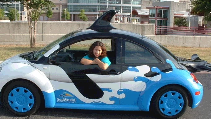 My marketing internship MISSION: drive the exclusive shamu VW Bug and entice people to visit the park. so thankful i never crashed it!