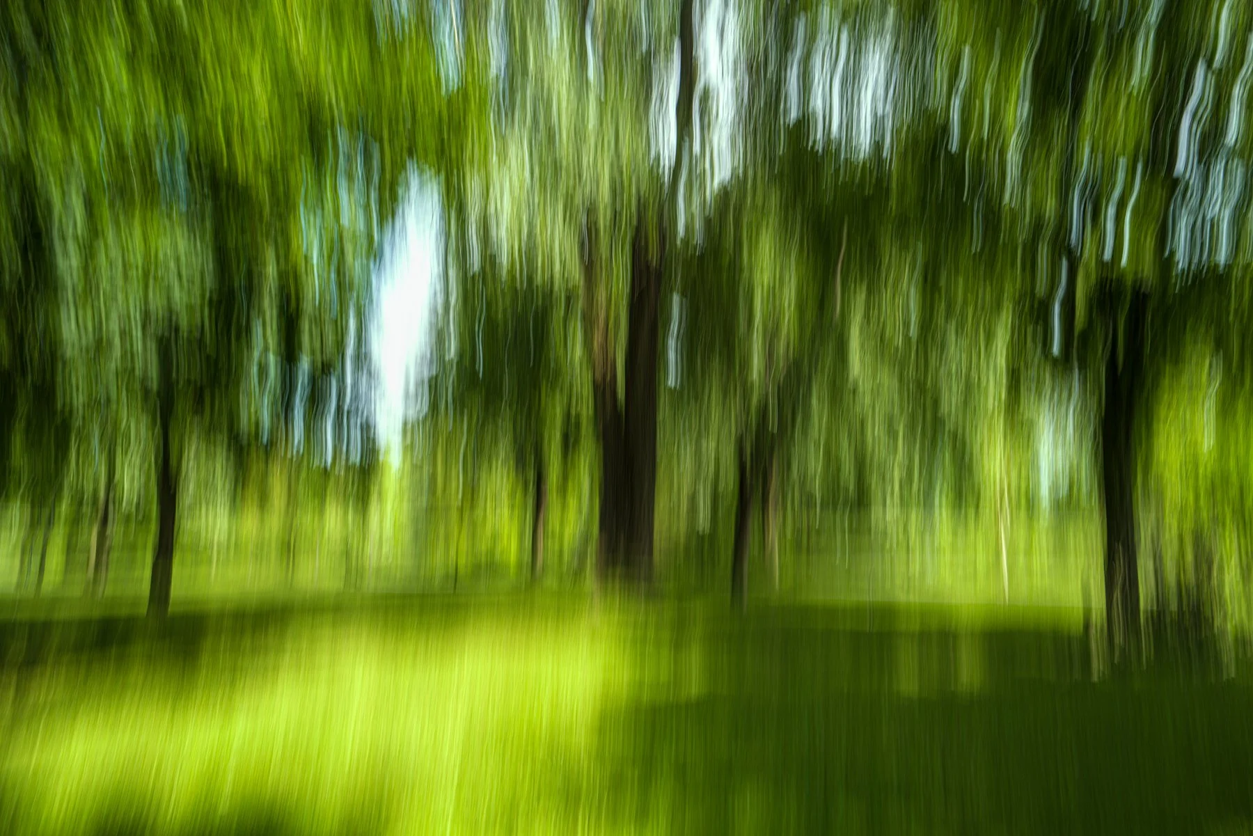 Thierry-Cerpolet_Green-Symphony.jpg