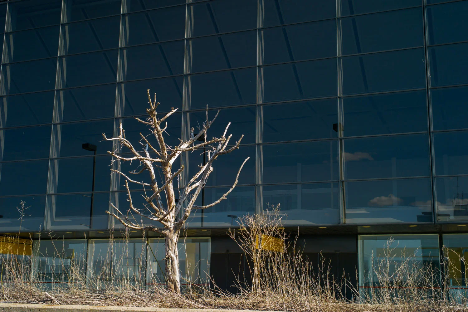 Mirabel (QC) 2011
