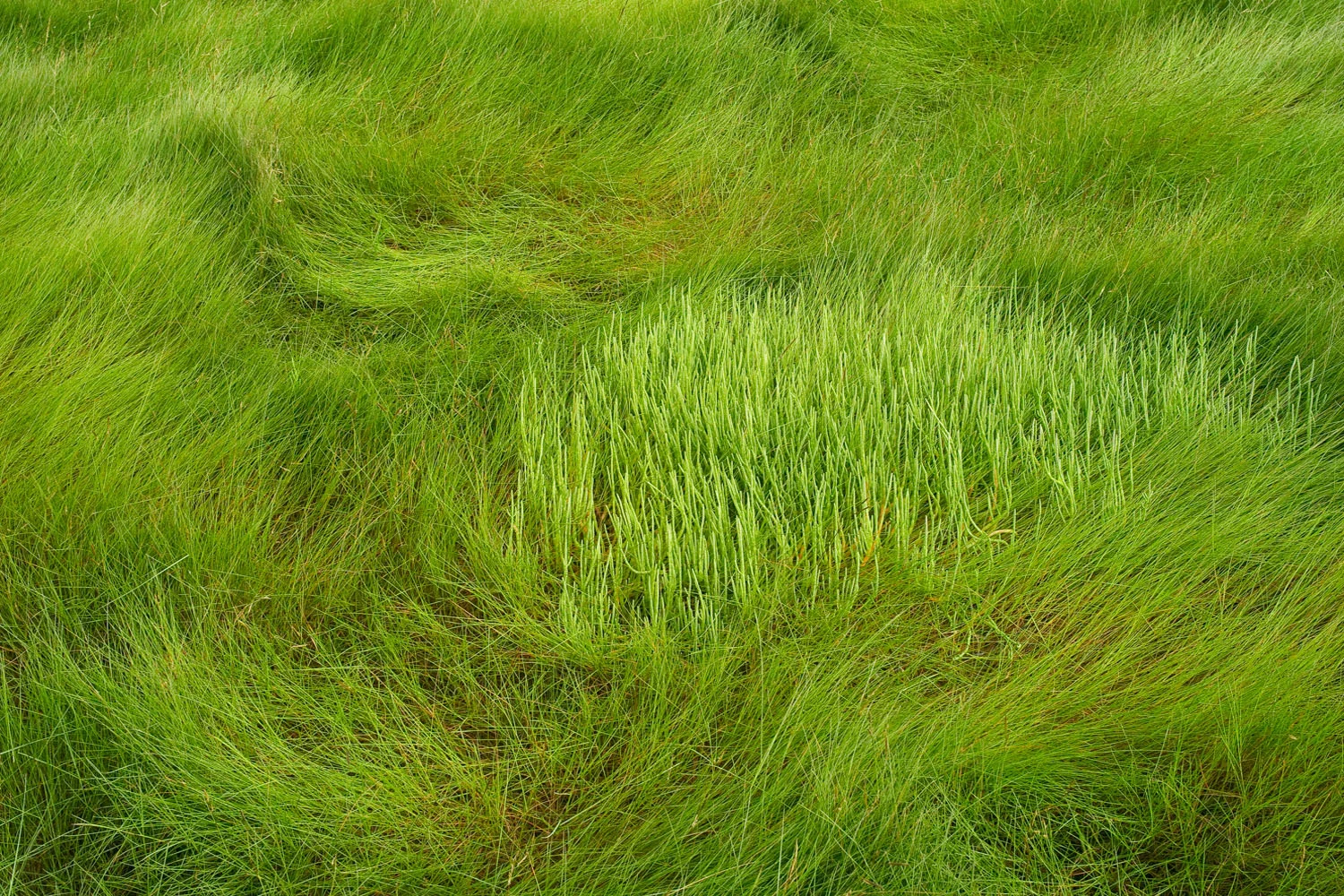Cape Cod (MA) 2012