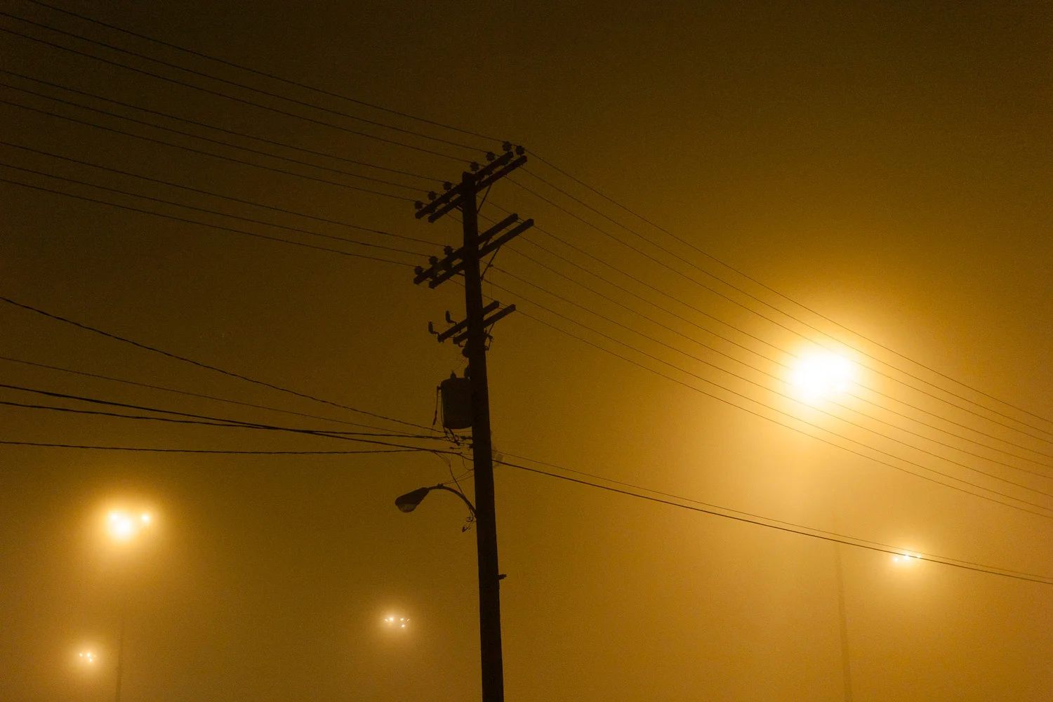 Foggy Show (Portfolio "Ambiance")