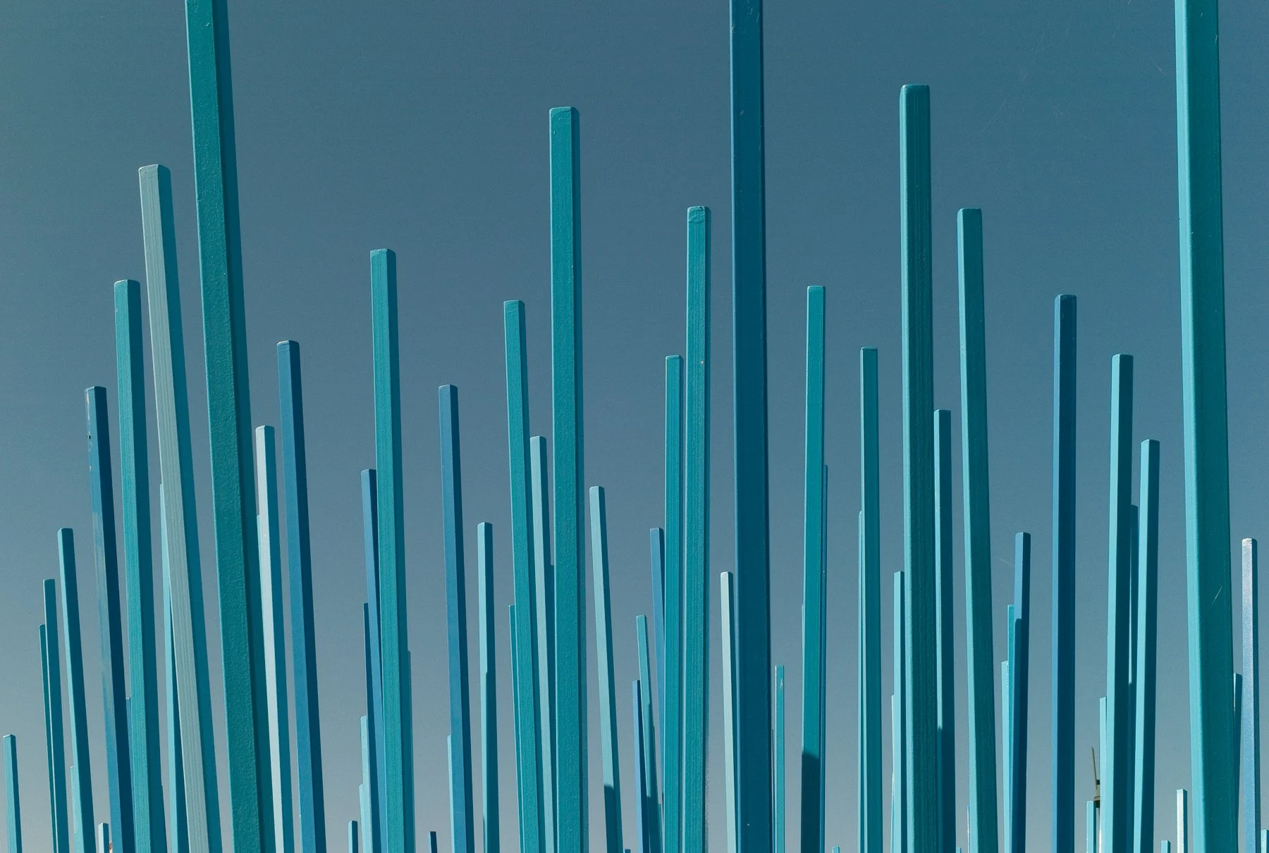 Thierry-Cerpolet_Awarded_Photographs_La-Fôret-Bleue.jpg
