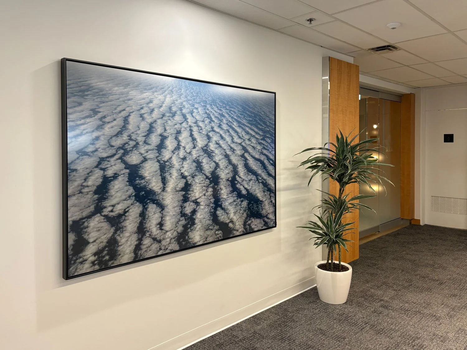 "River of Clouds" in 48x72" - IATA office Montreal